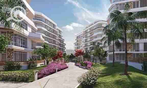 4 images - 2025-09-17T152809.944. jpeg