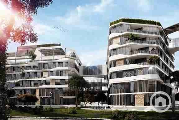 6 images - 2025-09-16T155504.527. jpeg