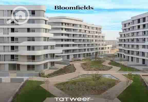 8 images - 2025-09-16T155609.773. jpeg