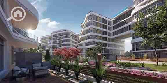 11 images - 2025-09-16T155450.361. jpeg