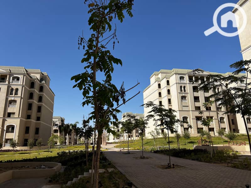 3 49f43ef5-c839-453e-9c6d-ff4d6d0eac47. jpg