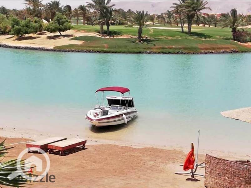 4 438154767_1449542875660436_7142175167422806376_n. jpg