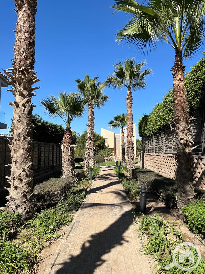 6 WhatsApp Image 2025-01-28 at 4.36. 11 PM (2). jpeg