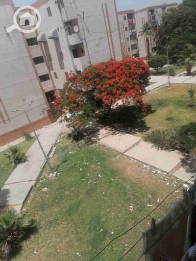 فلیٹ 1 غرفة نوم للبيع في الشيخ زايد، الجيزة - 1000089059. jpg فلیٹ 1 غرفة نوم للبيع في الشيخ زايد، الجيزة - 1000089059. jpg