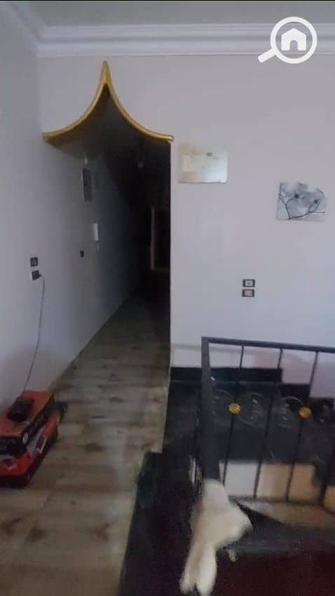 10 WhatsApp Image 2025-09-07 at 3.50. 24 PM (1). jpeg