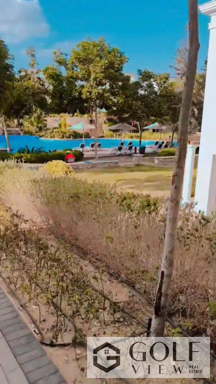 4 WhatsApp Image 2025-10-26 at 13.48. 40_9a827cb3. jpg