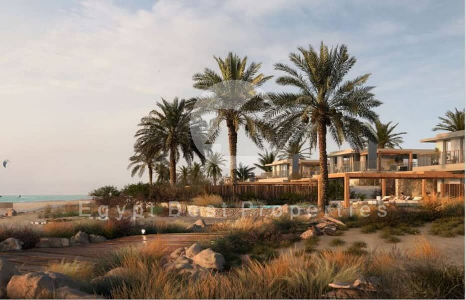 17 b54bac41-239c-483d-8dfa-9e0f16b869df. jpeg