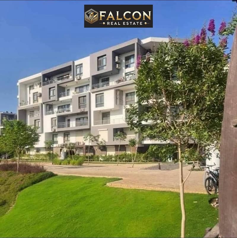 7 421664087_918312173290229_8339329286857023579_n. jpg