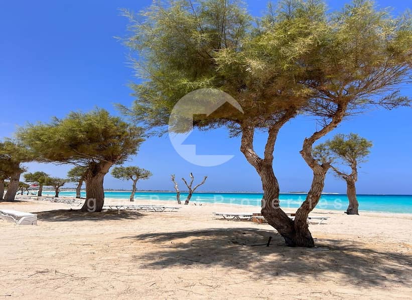 7 WhatsApp Image 2025-08-11 at 19.28. 39_c45b2fb2. jpg