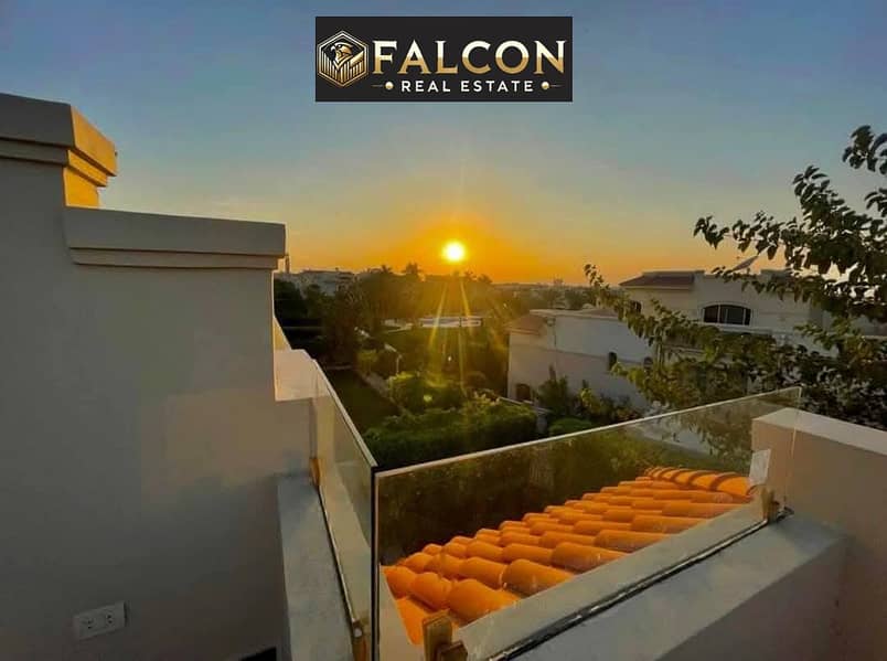 8 5f02921c-d714-4aa9-ae31-26e6c162d843. jpg