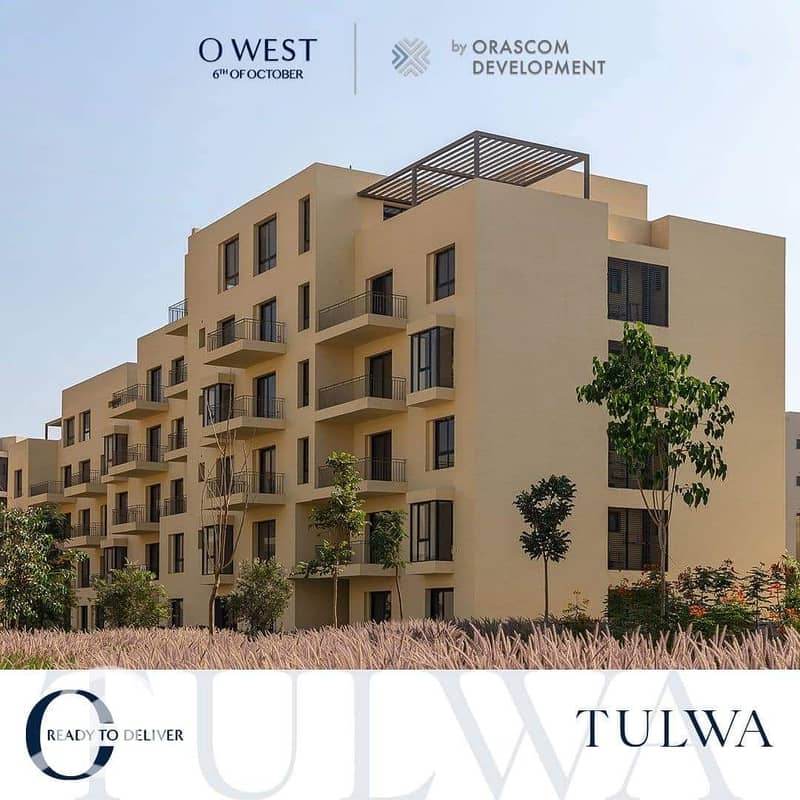 9 WhatsApp Image 2025-01-15 at 2.38. 01 PM (1). jpeg