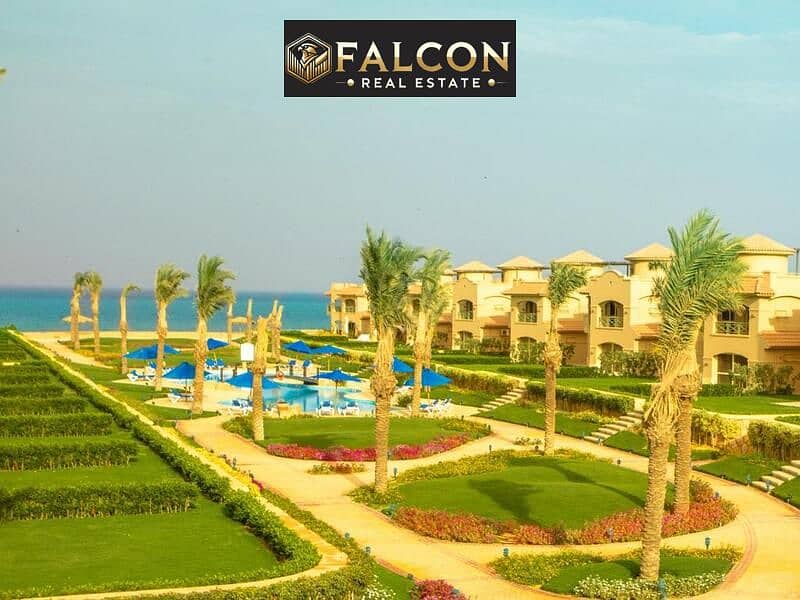 WhatsApp Image 2022-11-03 at 04.52. 57. jpg