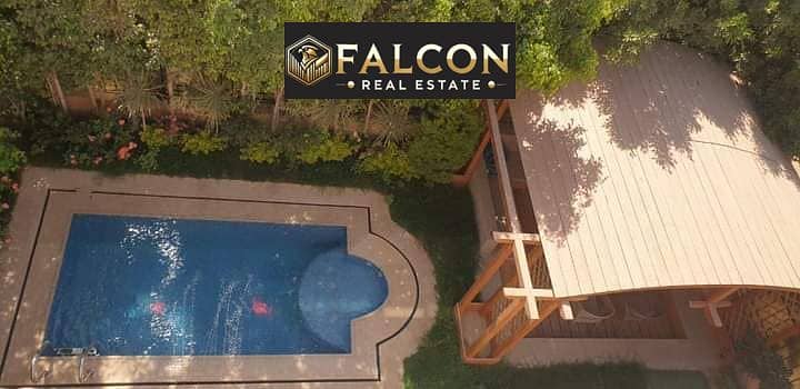 4 332069502_4237705553120236_6138338988758713738_n. jpg