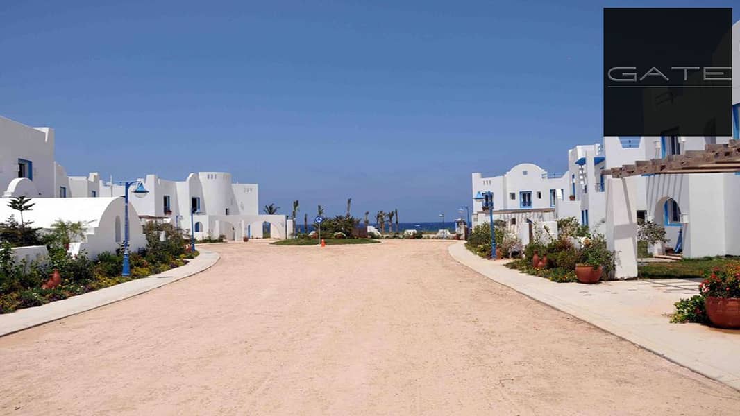 14 zioN0WdjRUwLnaS1bNcdteNIH3xm6C. jpg