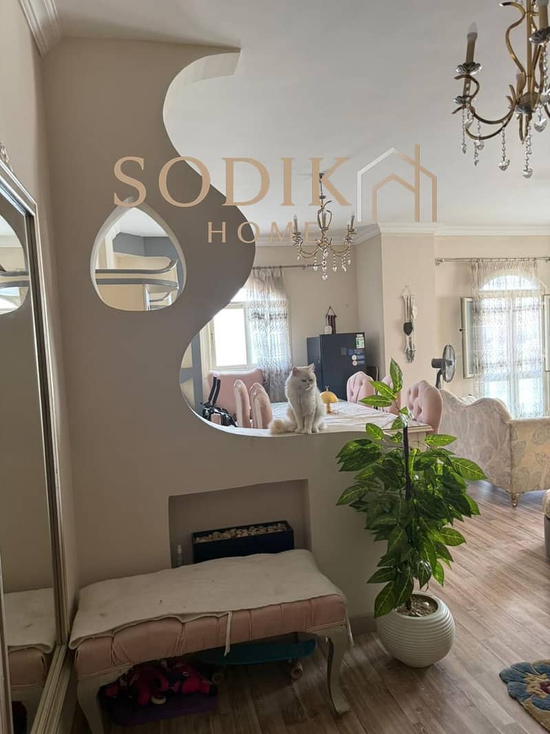 10 004d2aec-d366-4e88-a85e-2998da65faa6 (1). jpg