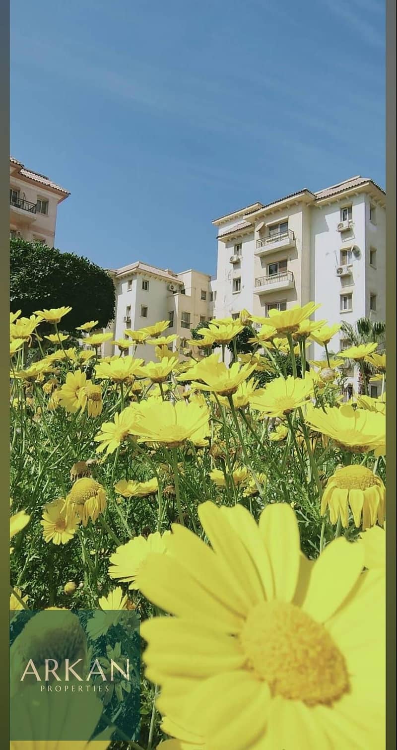 3 358a7073-66f2-436f-a1e9-dd5500cb5e3a. jpg