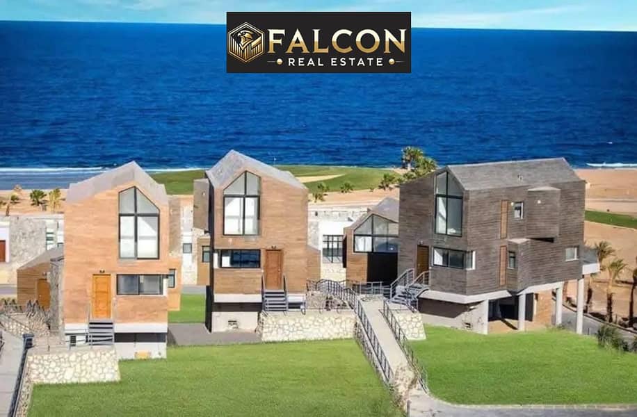 3 ef27397a-6751-46d8-a265-54f2eb7f1a1e. jpeg