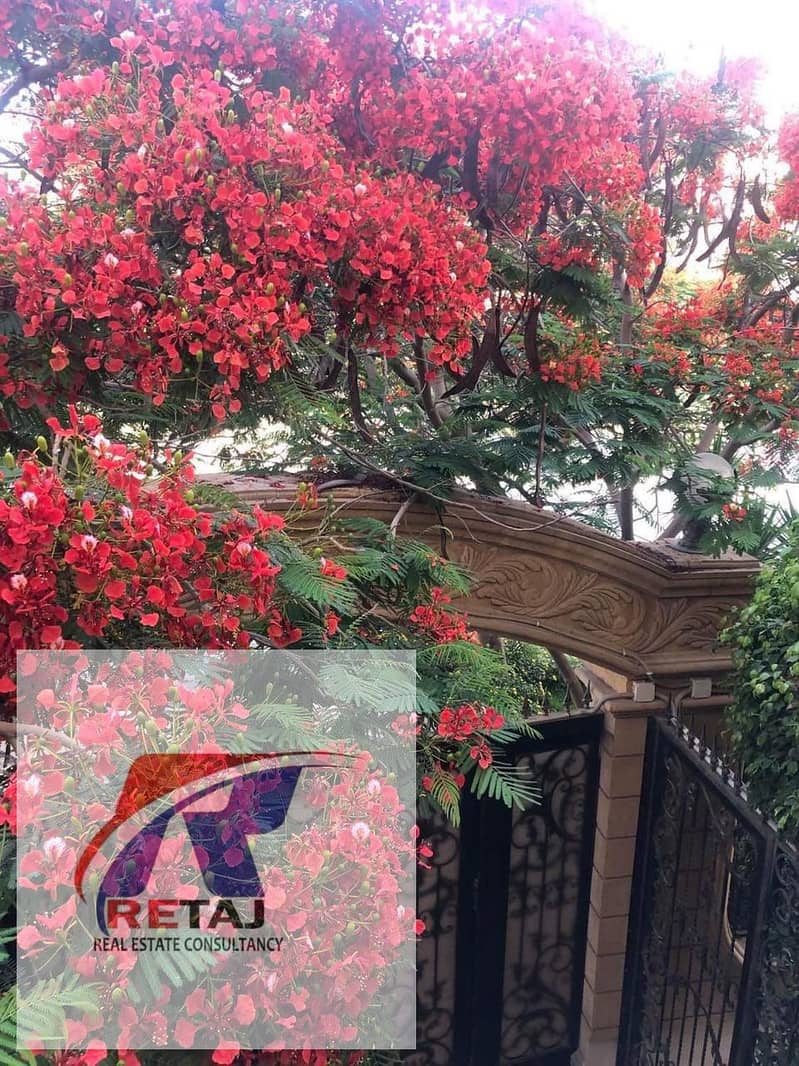 8 WhatsApp Image 2025-10-29 at 13.00. 27. jpeg