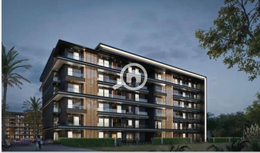 4 IMG_20251029_144453. jpg