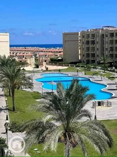 شاليه 3 غرف نوم للبيع في الساحل الشمالي، مطروح - WhatsApp Image 2025-10-29 at 1.18. 48 PM (3). jpeg