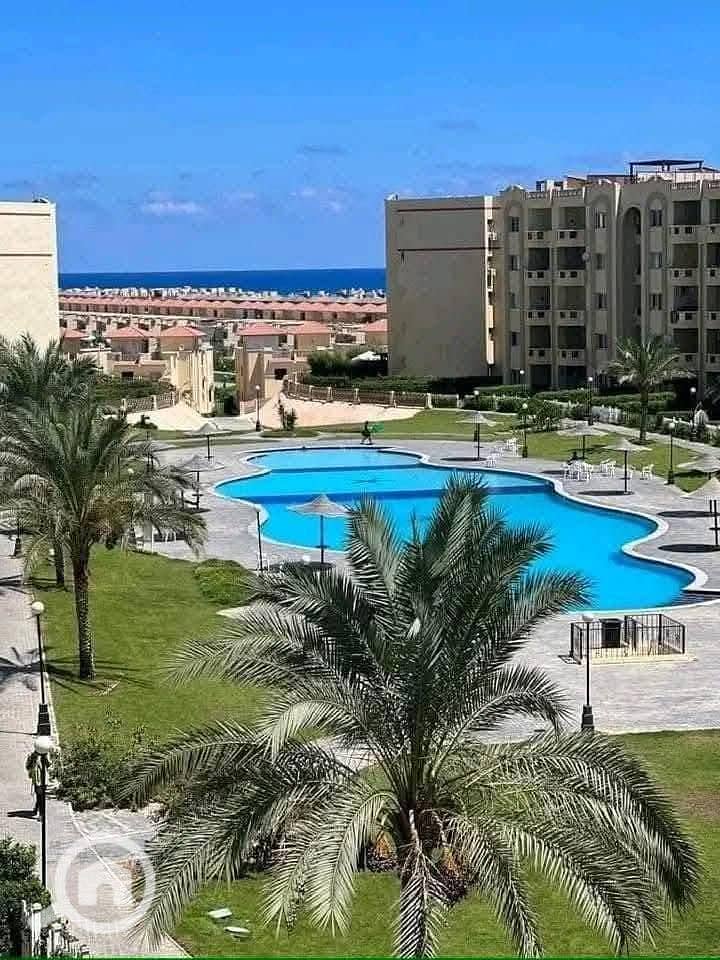 WhatsApp Image 2025-10-29 at 1.18. 48 PM (3). jpeg WhatsApp Image 2025-10-29 at 1.18. 48 PM (3). jpeg