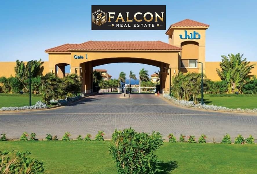 9 482049505_620864540938076_3463173836393780897_n. jpg