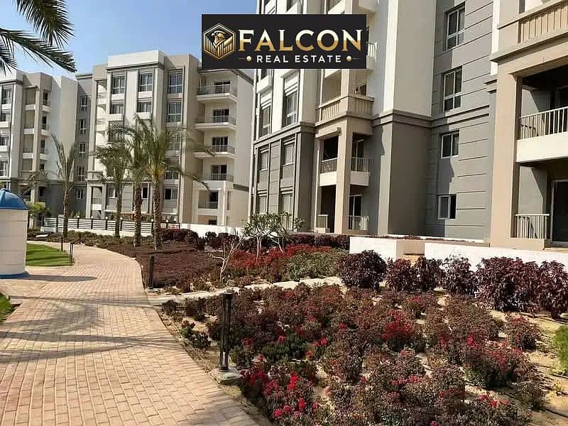 image (3). png image (3). png