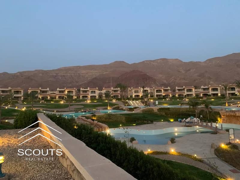 11 5a685fcc-dd4a-402b-9f76-bb70dbe80a39. jpg