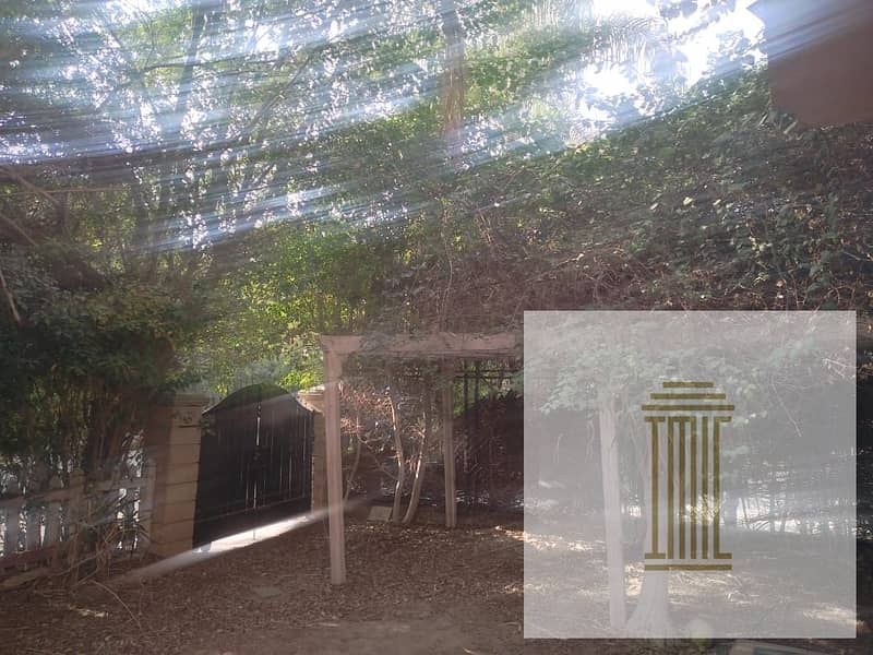 7 WhatsApp Image 2025-10-29 at 2.37. 57 PM (7). jpeg