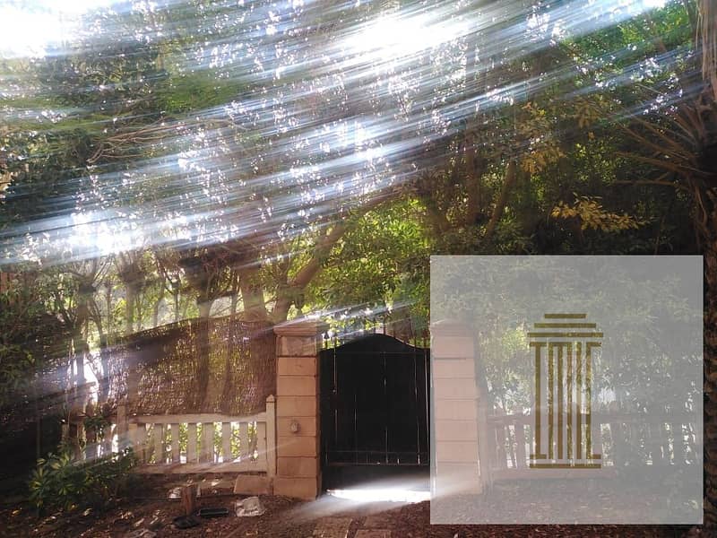 8 WhatsApp Image 2025-10-29 at 2.37. 57 PM (5). jpeg