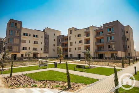 3 Bedroom Apartment for Sale in Sheikh Zayed, Giza - 2. jpeg