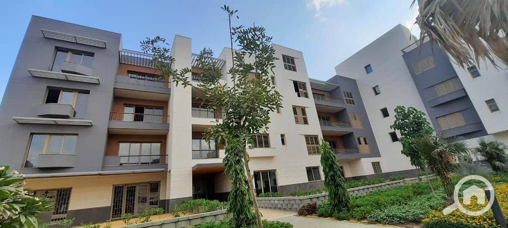 5 WhatsApp Image 2021-05-30 at 11.56. 40 AM (3). jpeg