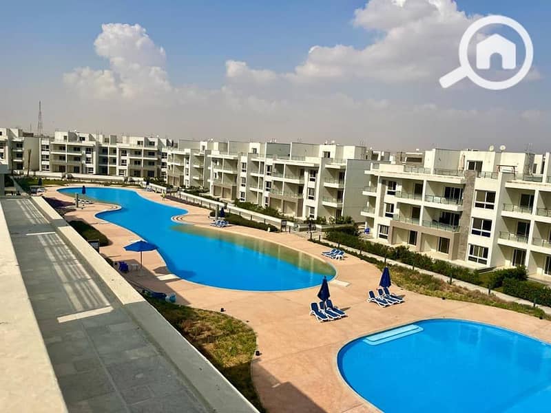 10 425672042_7686901091366052_2051307277710656411_n. jpg