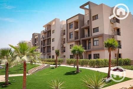 5 WhatsApp Image 2025-10-29 at 2.45. 33 PM (1). jpeg