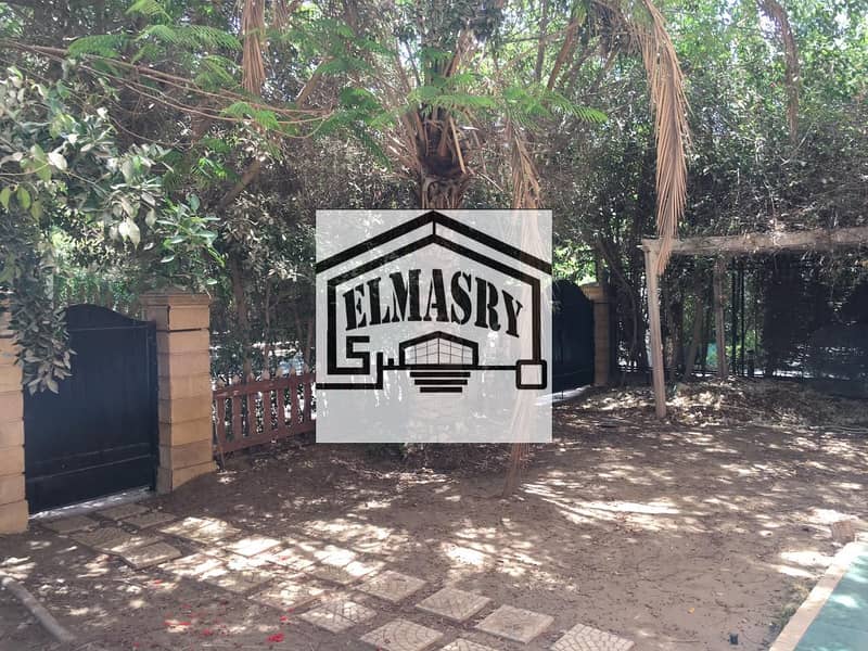 10 f63e7677-397e-4406-85ea-9500949a284d. jpeg