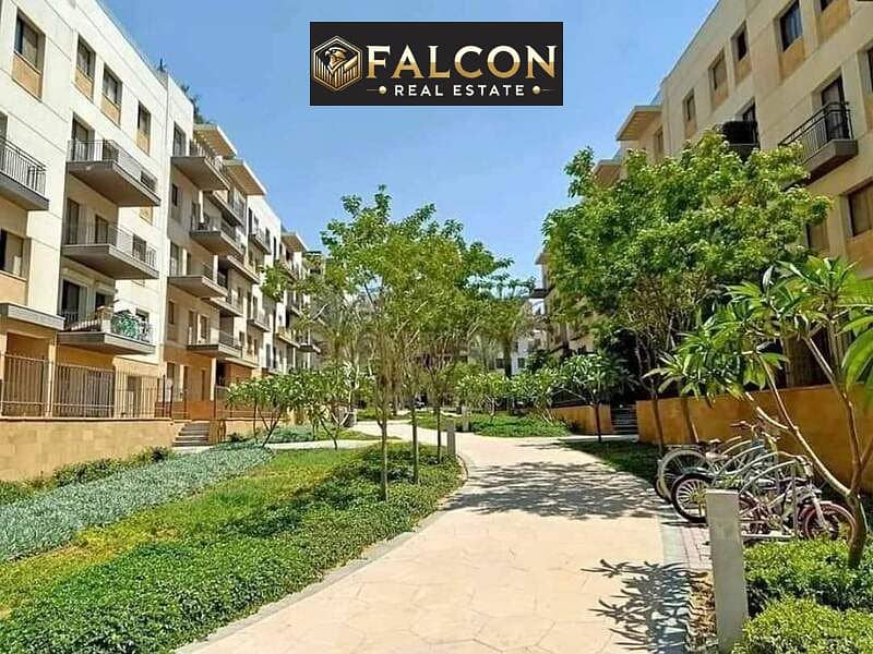 6 84da8b03-b7e5-459c-b4e3-2f9bb38460bf. jpg