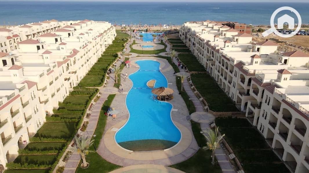 3 WhatsApp Image 2024-12-24 at 2.41. 35 PM (3). jpeg