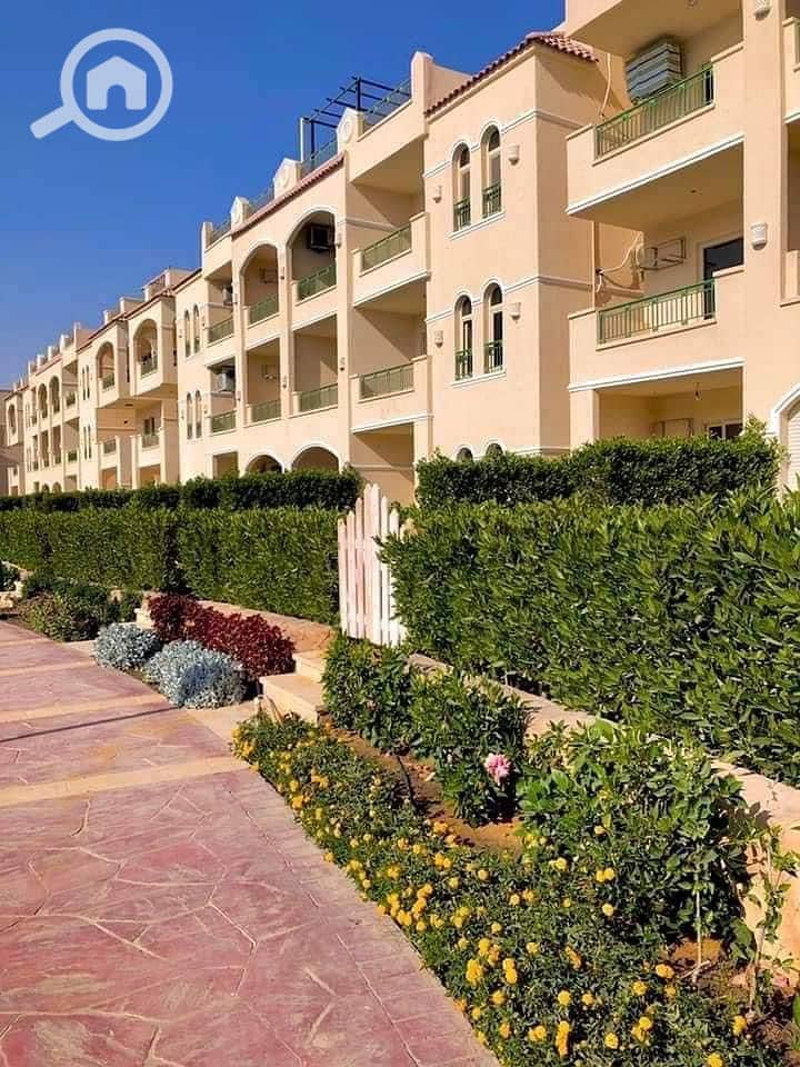 9 WhatsApp Image 2024-12-24 at 2.41. 36 PM (4). jpeg