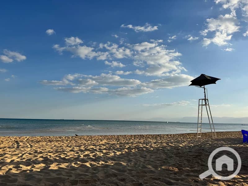 11 WhatsApp Image 2024-12-24 at 2.41. 36 PM (7). jpeg