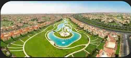 1000381433. jpg 1000381433. jpg