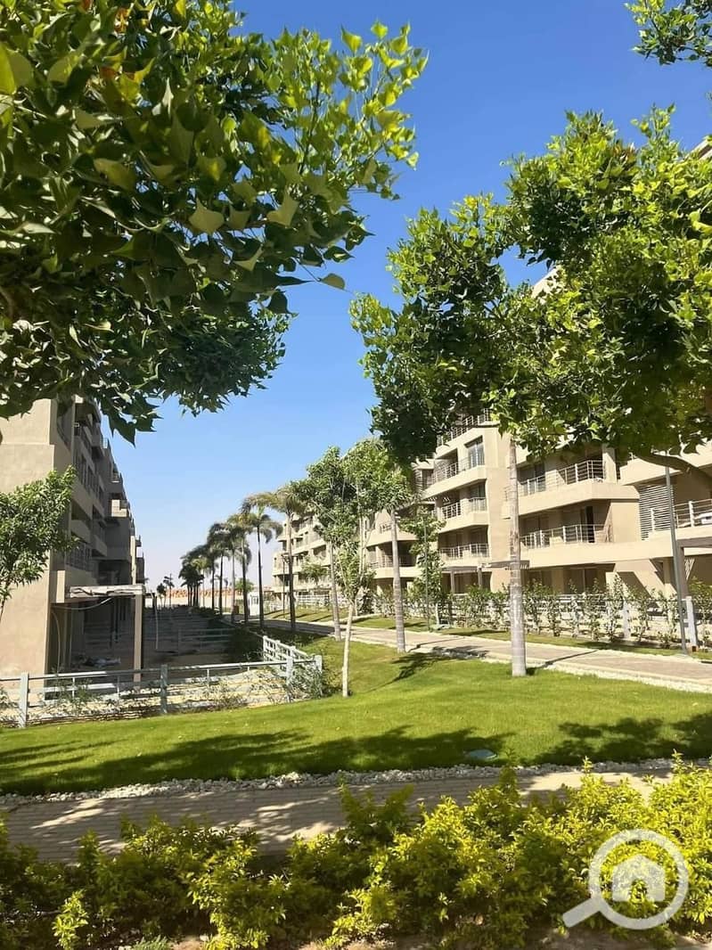 9 f5ae38ab-0d22-481b-aafa-4623b84427af. jpg