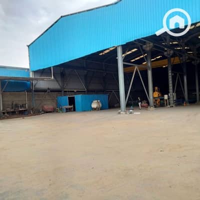 مصنع  للايجار في النوبارية الجديدة، البحيرة - مخزن للأيجار ارتفاع ١١ متر