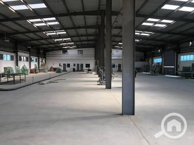 مصنع  للبيع في برج العرب، الإسكندرية - مصنع ٣٠٠٠ متر نشاط هندسي جديد لم يستخدم
