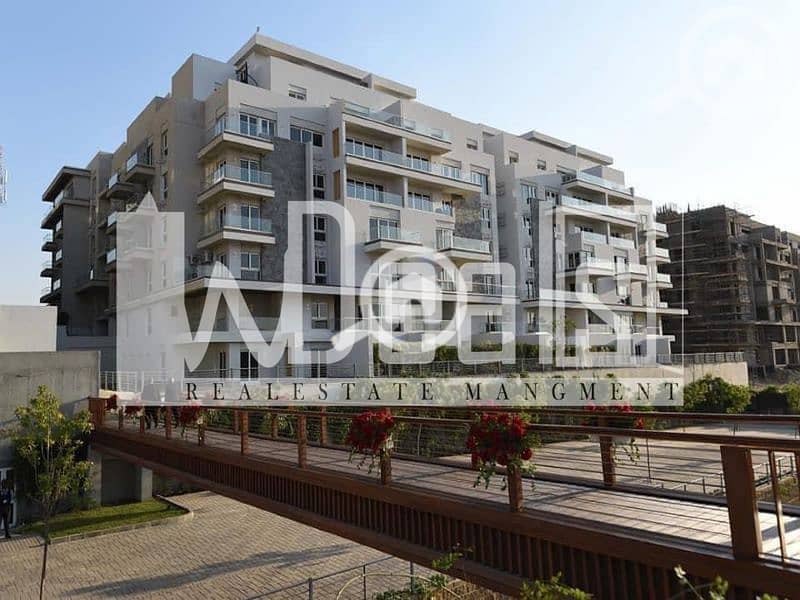 7 14781576-800x600. jpg