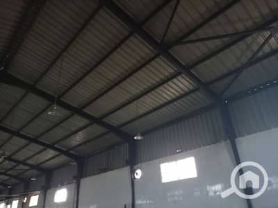 مستودع  للايجار في برج العرب، الإسكندرية - مخزن للايجار برج العرب, بالإسكندرية 2000 م نشاط تخزين مواد بتروليه