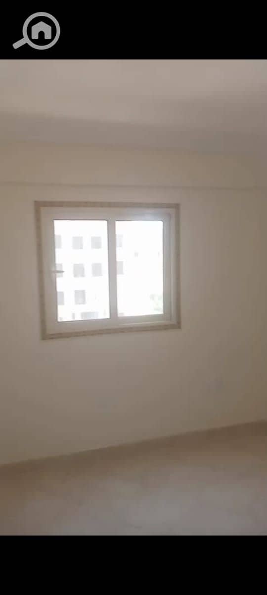 3 WhatsApp Image 2025-10-29 at 15.35. 09_484b967b. jpg