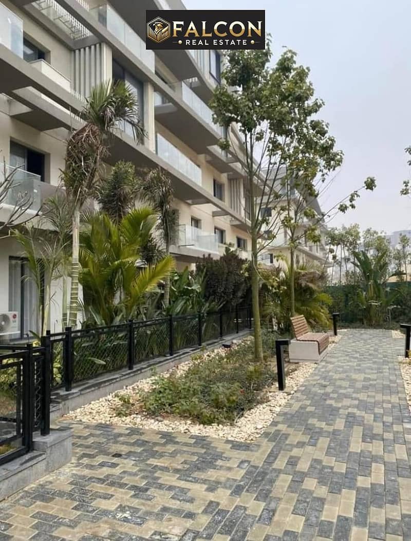 13 385068674_254819407552143_8781332305327859642_n. jpg