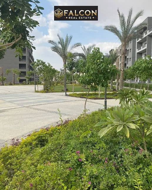 5 Screenshot 2025-10-07 224146. png