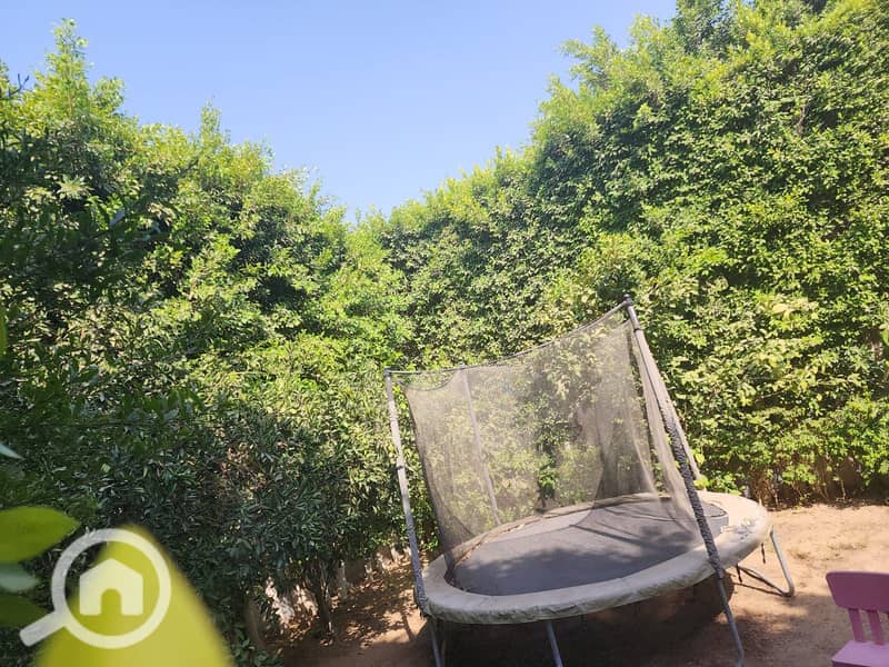 7 IMG-20251029-WA0113. jpg