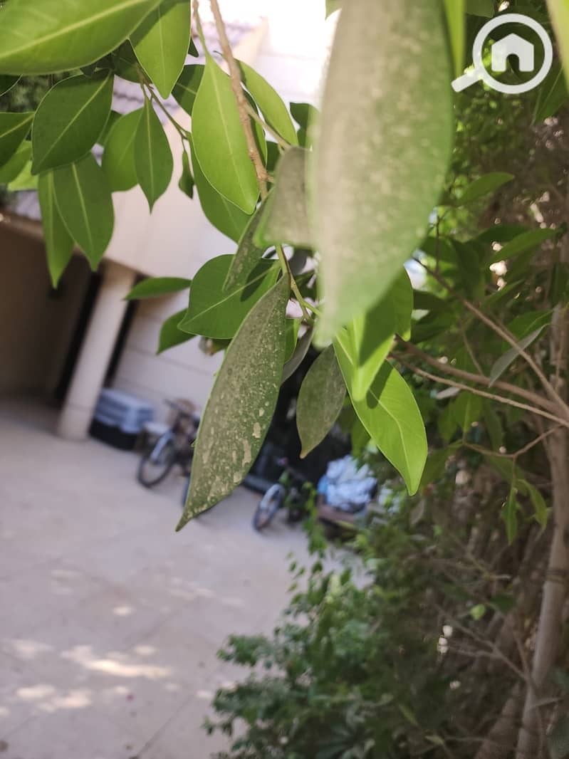 10 IMG-20251029-WA0106. jpg